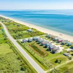 6 Birds That Make the Bolivar Peninsula a Must-Visit for Birdwatchers